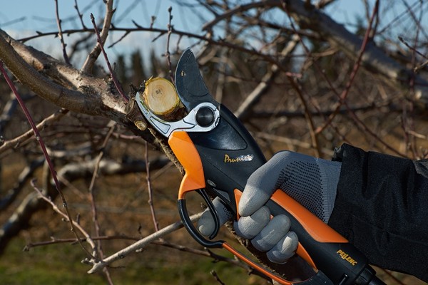 Branch pruners deals